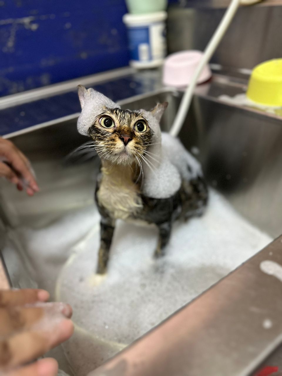 Skin Treatment Bath