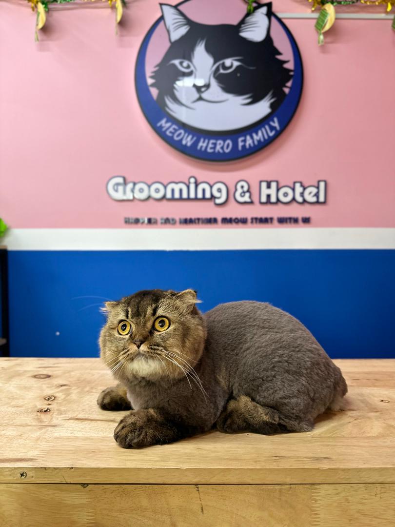 Comb Cut Styling